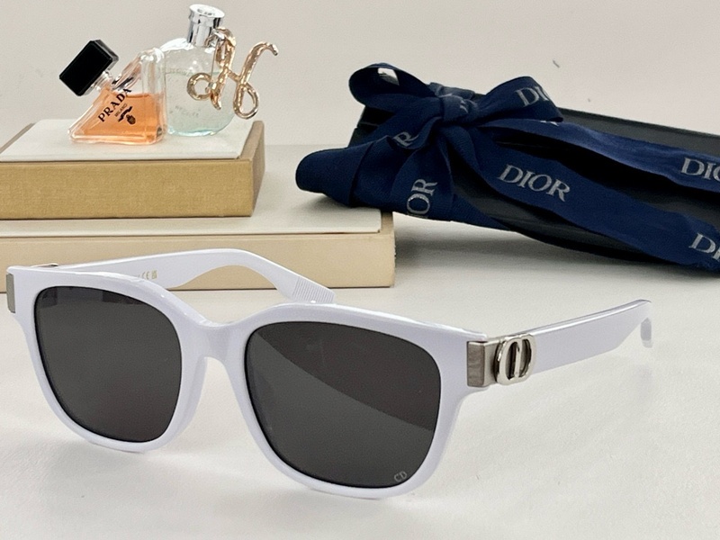 DIOR Sunglasses 1